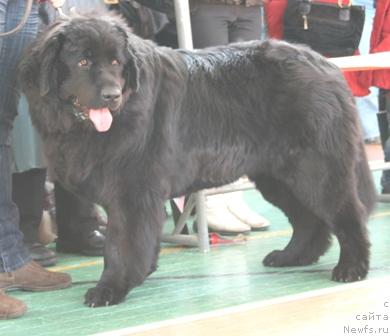 Фотография № 11817