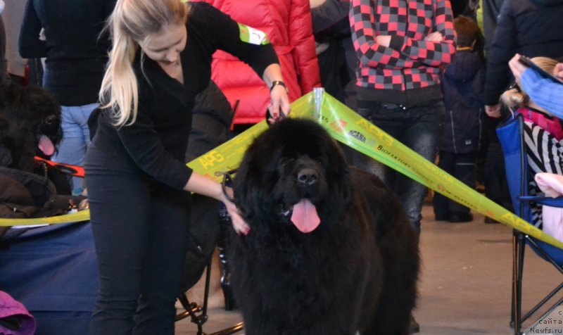 Фотография № 118171