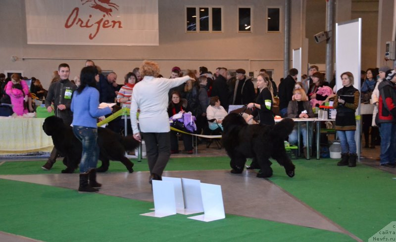 Фотография № 118172