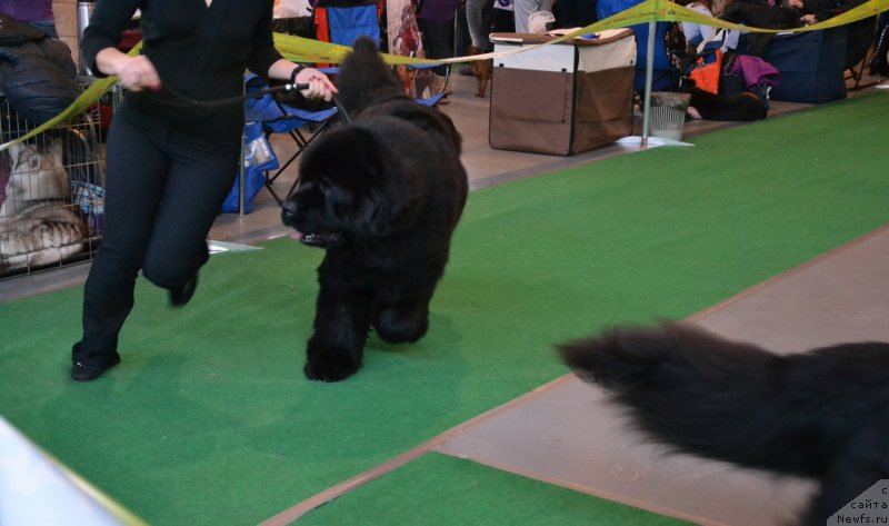 Фотография № 118173