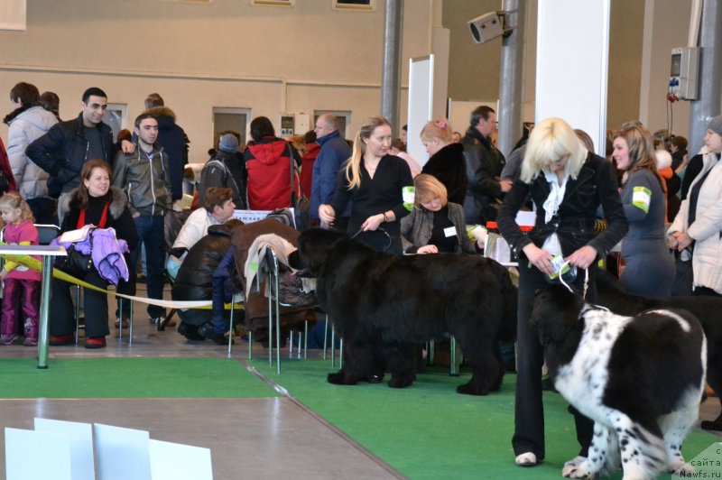 Фотография № 118174