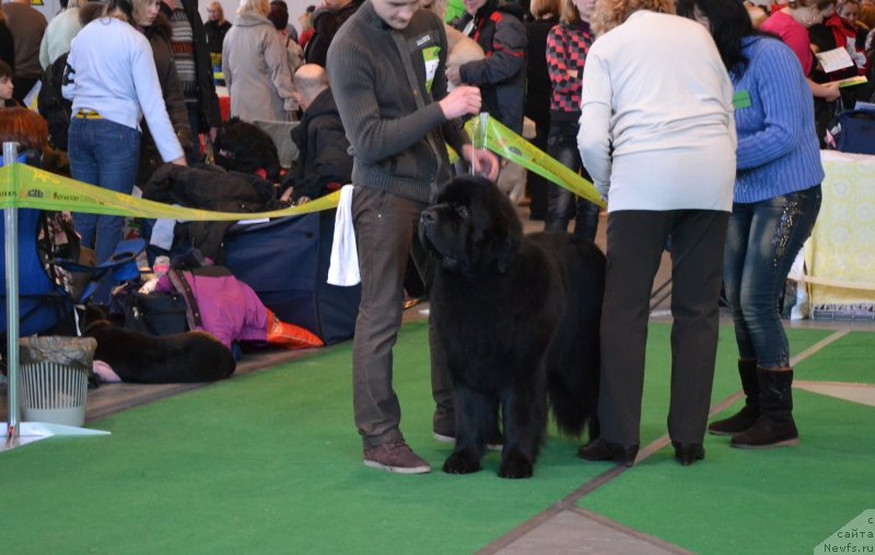 Фотография № 118175