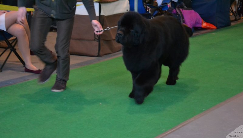 Фотография № 118176