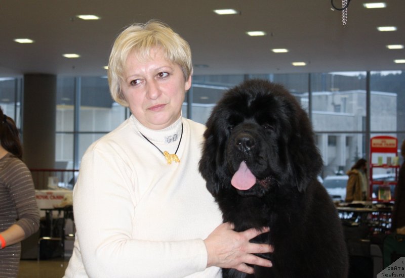 Фото: ньюфаундленд Whispers in the Wind Nuo Ozo Kalvu