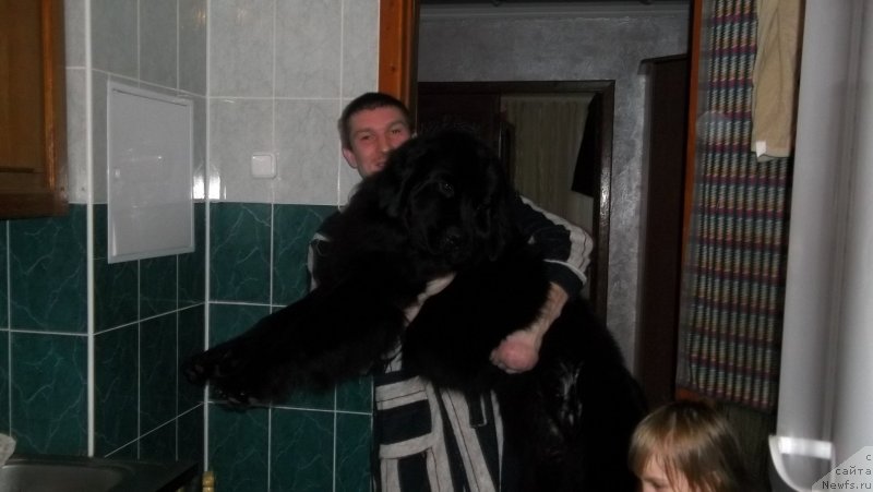 Фото: Inna Gabrus' (Инна Габрусь)