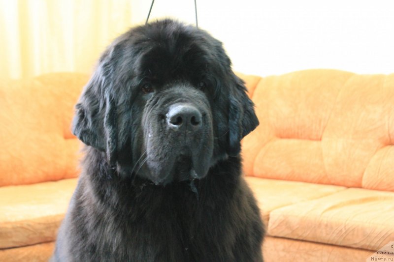 Фотография № 118207