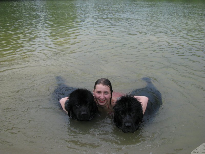 Фото: ньюфаундленд Amulet Lyubvi i Schastya (Амулет Любви и Счастья), Anna Lutchenkova (Анна Лутченкова), ньюфаундленд Sangriya (Сангрия)