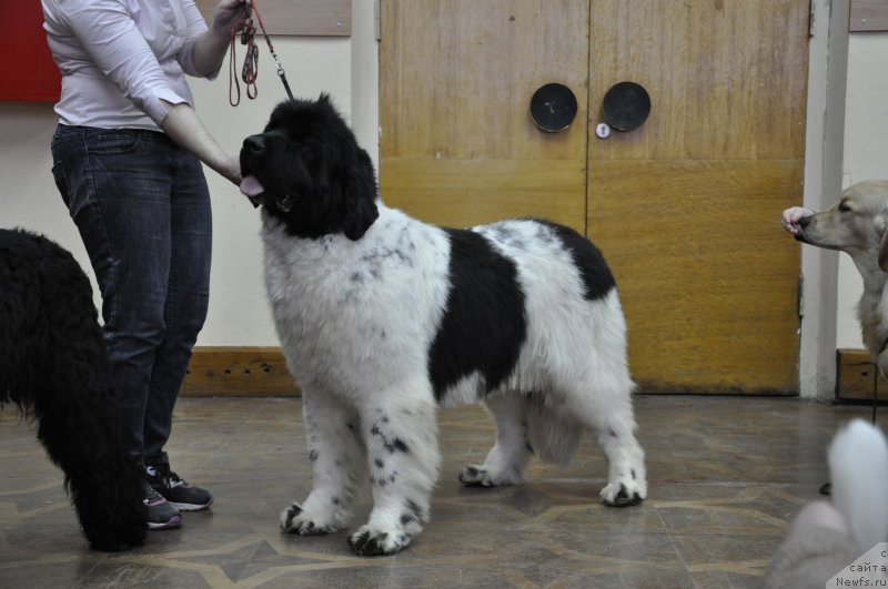 Фотография № 118226