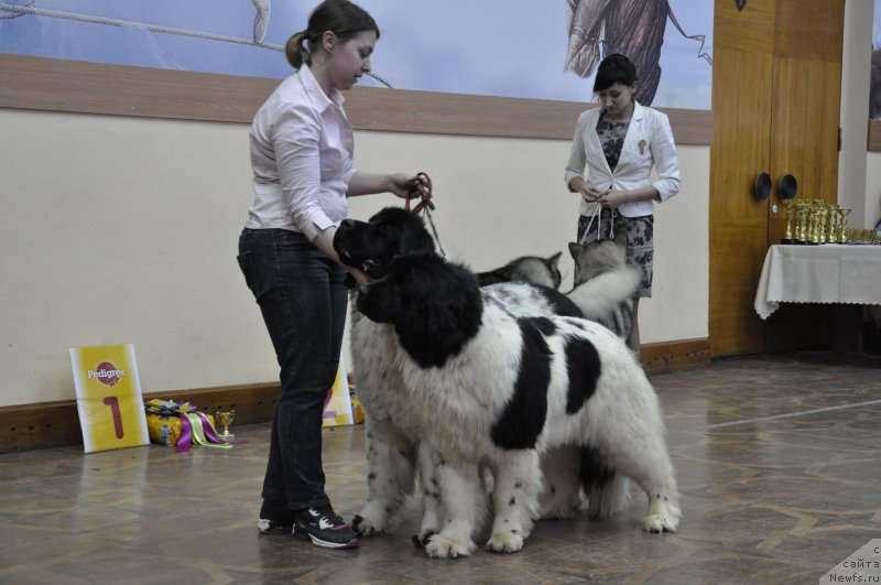 Фотография № 118228