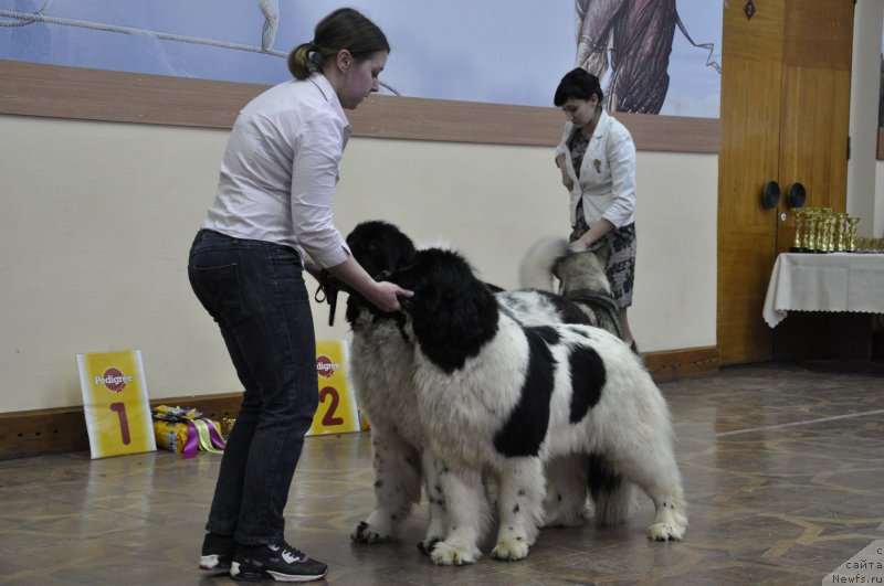 Фотография № 118229