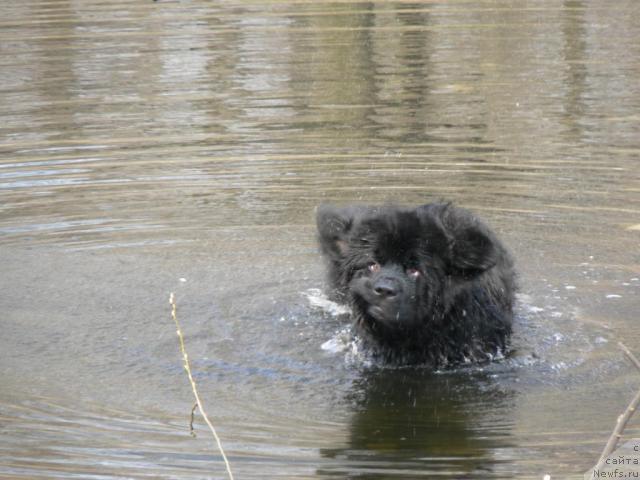 Фотография № 11824