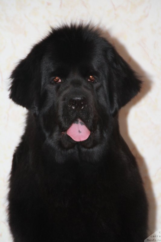 Фотография № 118256