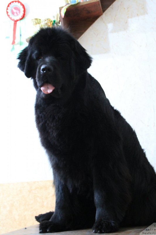 Фотография № 118258