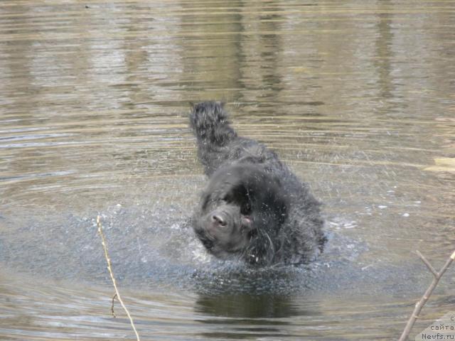 Фотография № 11826