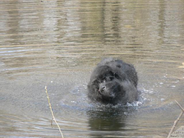 Фотография № 11828