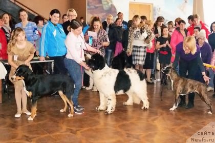 Фотография № 118296