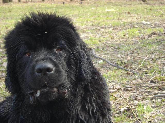 Фотография № 11831