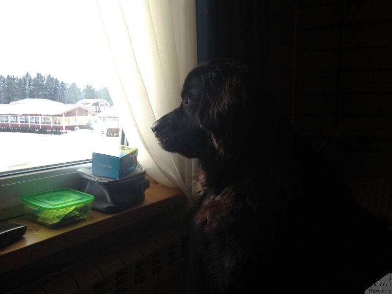 Фотография № 118319