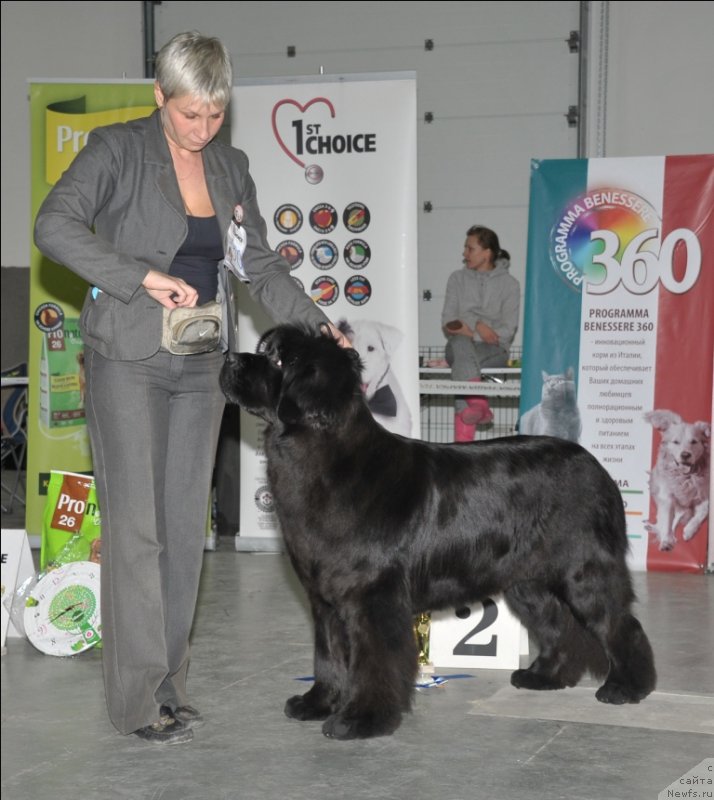 Фотография № 118333