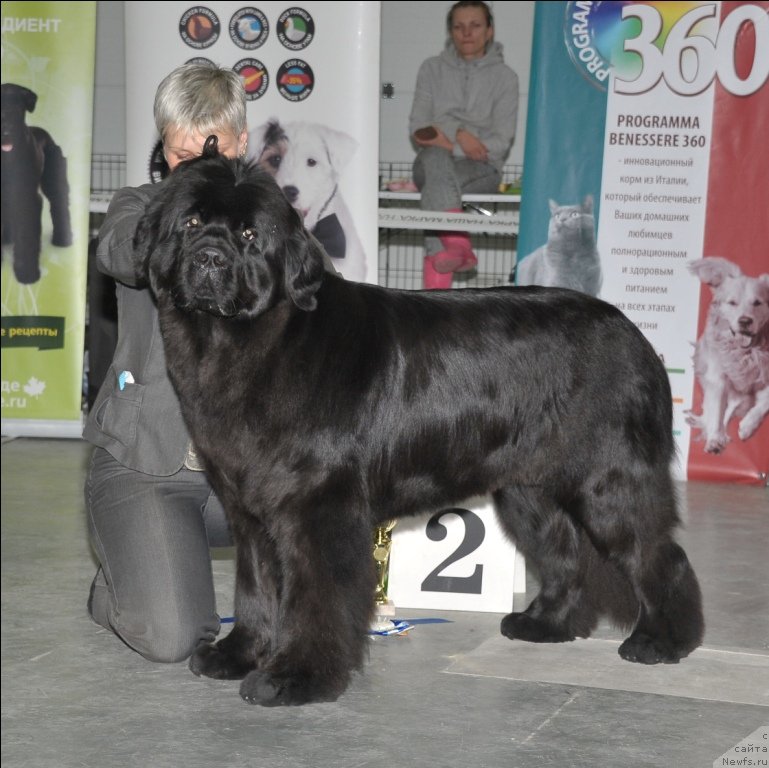 Фотография № 118334