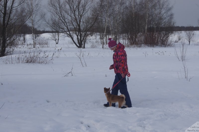 Фотография № 118348