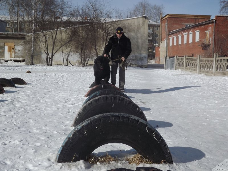 Фотография № 118377