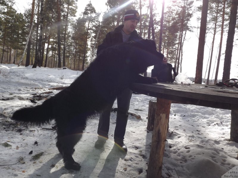 Фотография № 118387