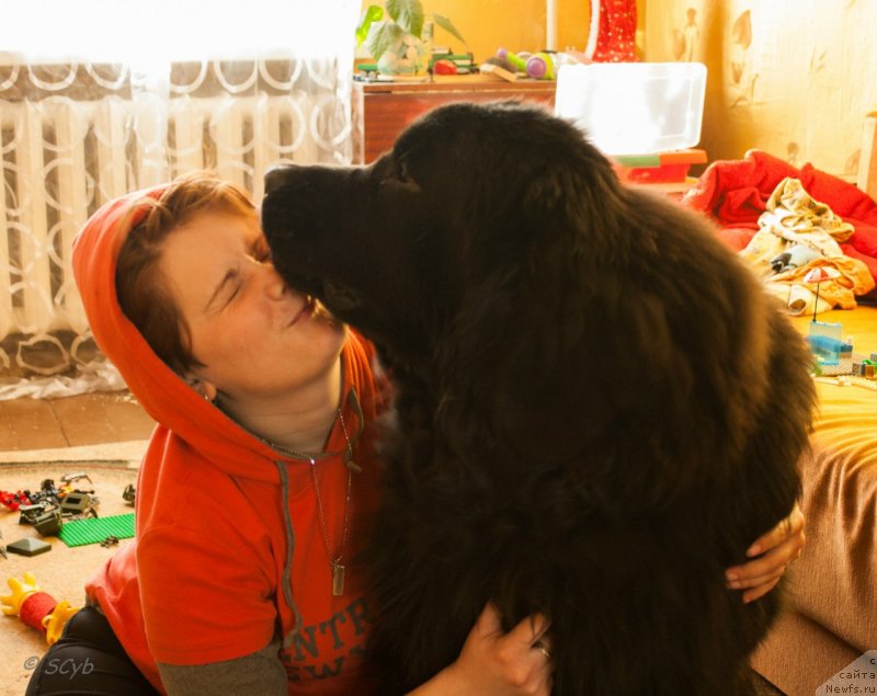 Фото: Anna Rogova (Анна Рогова), ньюфаундленд N'yufort Ryendom Blyek (Ньюфорт Рэндом Блэк)