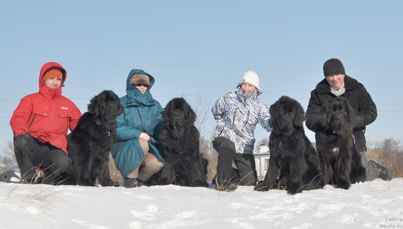 Фотография № 118444