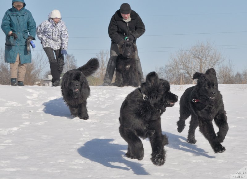 Фотография № 118446