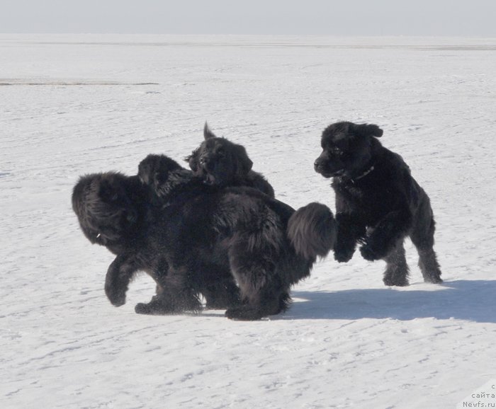 Фотография № 118448