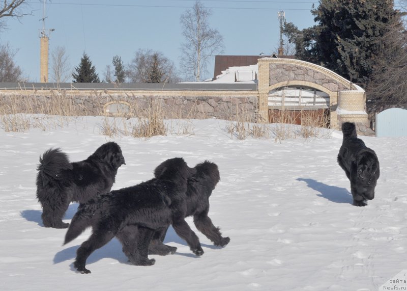 Фотография № 118449