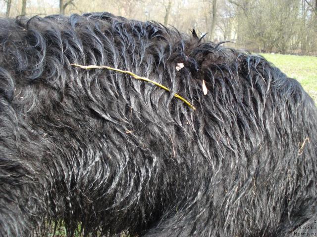 Фотография № 11846