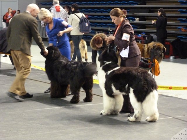 Фотография № 118466