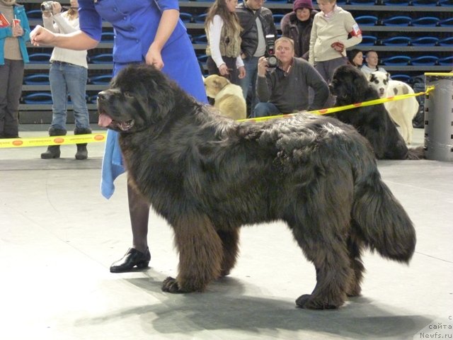 Фотография № 118467