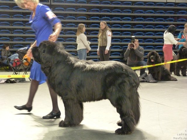 Фотография № 118469