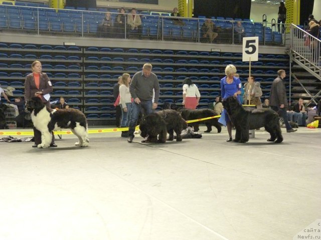 Фотография № 118470