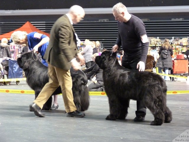 Фотография № 118474