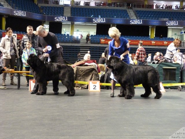 Фотография № 118475