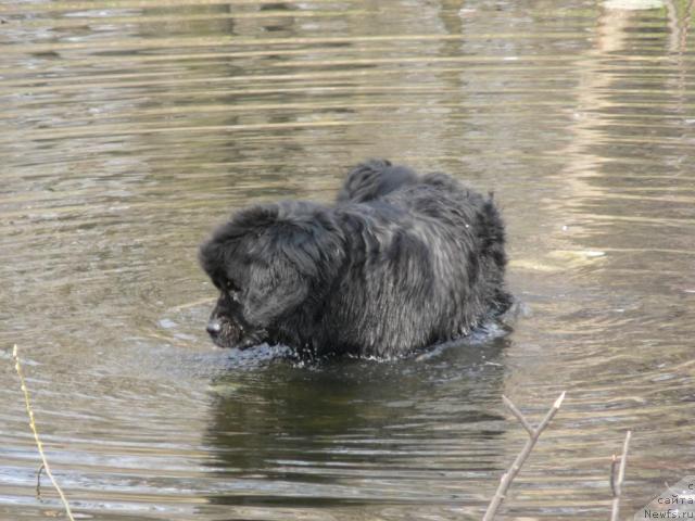 Фотография № 11848