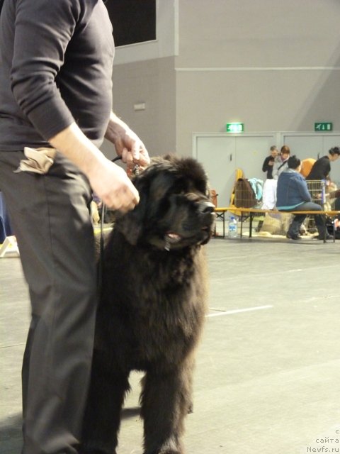 Фотография № 118480