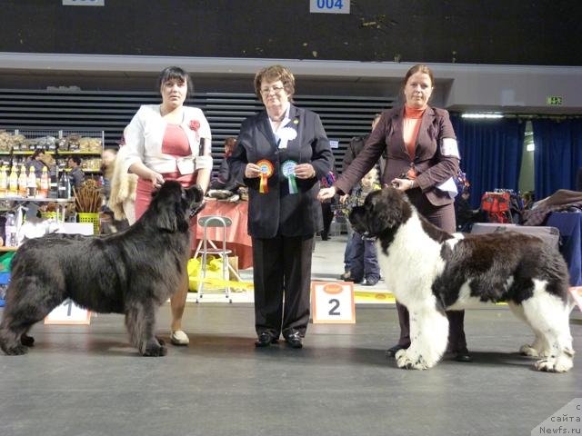 Фотография № 118482