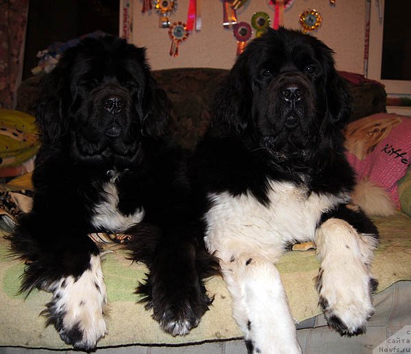 Фотография № 118486