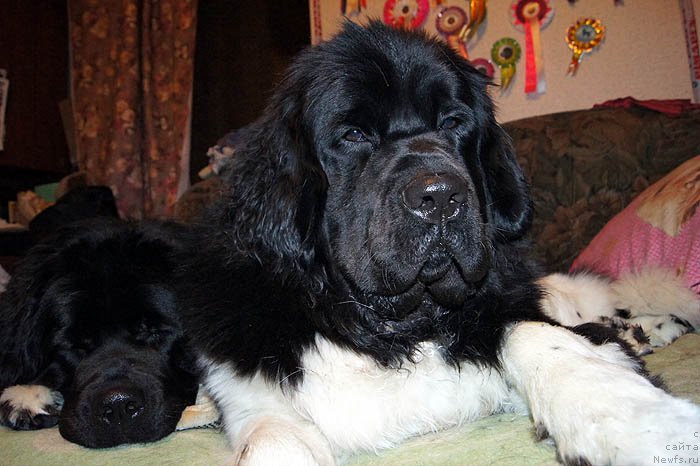 Фотография № 118490