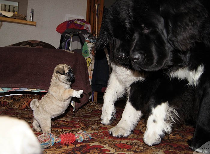 Фотография № 118493