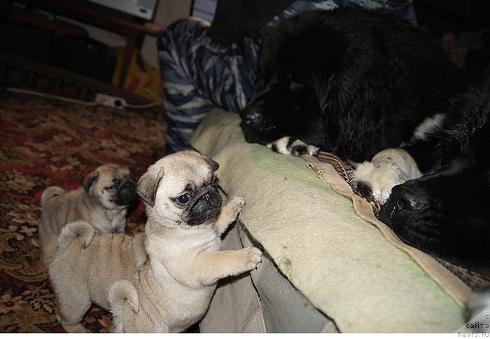 Фотография № 118498