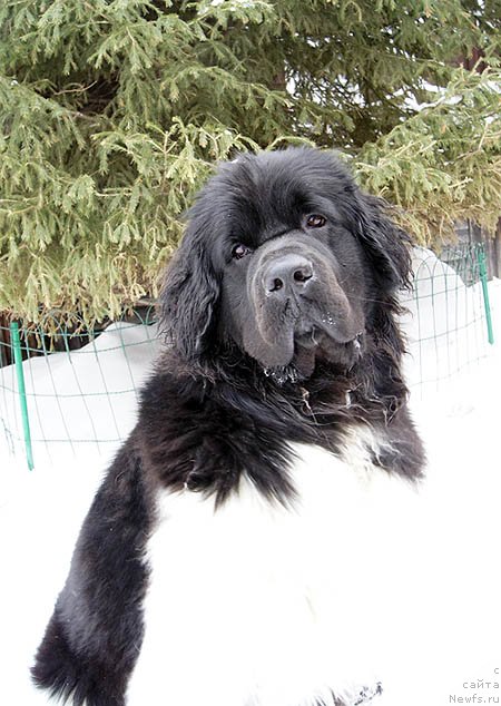 Фотография № 118504