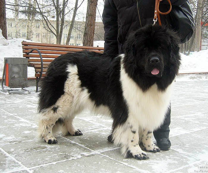 Фотография № 118535