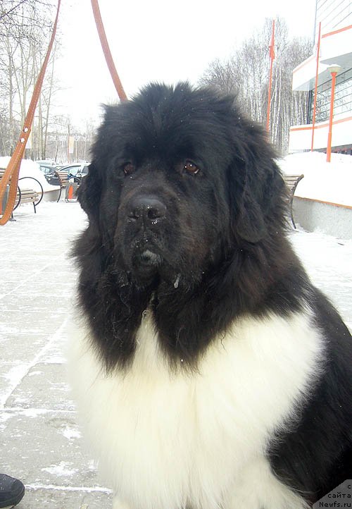 Фотография № 118536