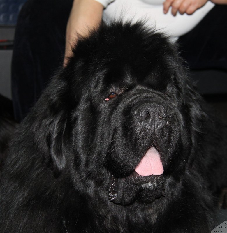 Фотография № 118552